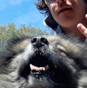 Meet your Posher, Jeremy